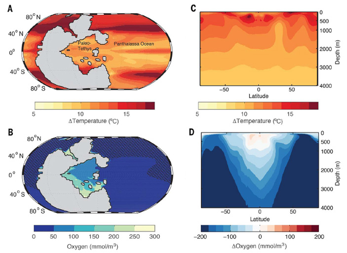 temperature dependent hypoxia explains end permian mass extinction 2 703