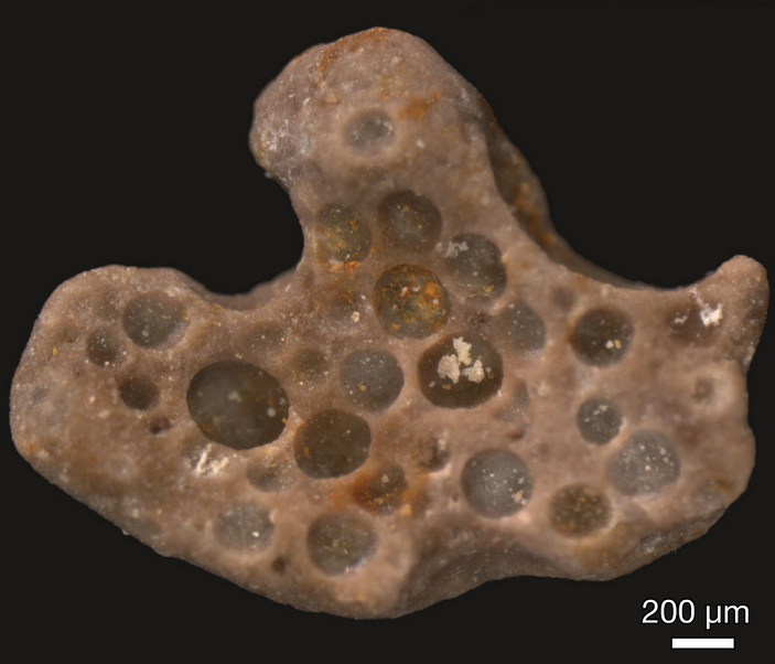 picture of the day fossilized oxygen 1 703
